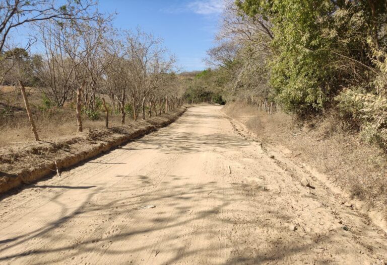 Rehabilita Maquinaria Pesada más de 300 kilómetros de caminos sacacosechas