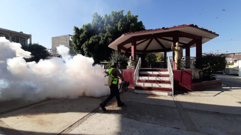 Intensifica Servicios Públicos brigadas sanitarias en Acapulco