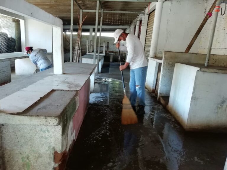 Intensifican brigadas sanitarias en mercados de Acapulco