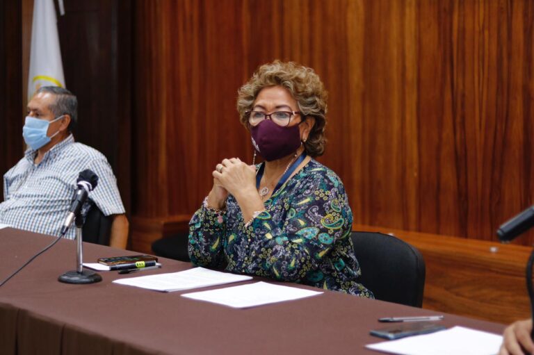 Absurdo que haya infringido la ley electoral: Adela Román