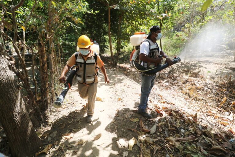 Intensifica Gobierno de Acapulco brigadas de fumigación y abatización