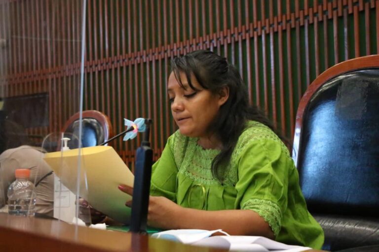 PLANTEAN REFORMA PARA QUE SUJETOS OBLIGADOS SE RIJAN BAJO EL PRINCIPIO DE LA PARIDAD DE GÉNERO