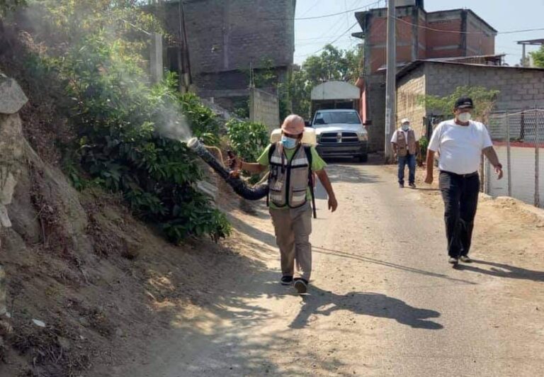 Desazolvan canales pluviales, fumigan y abatizan colonias de Acapulco