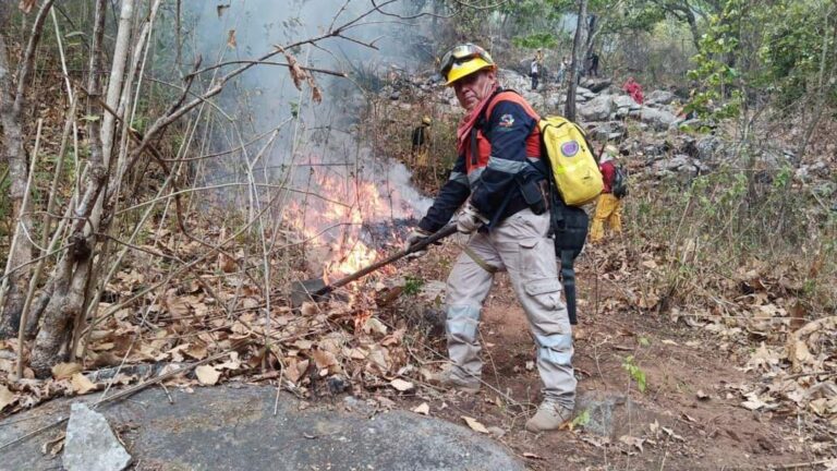 COMBATE GUERRERO INCENDIOS FORESTALES EN 11 PUNTOS DEL ESTADO