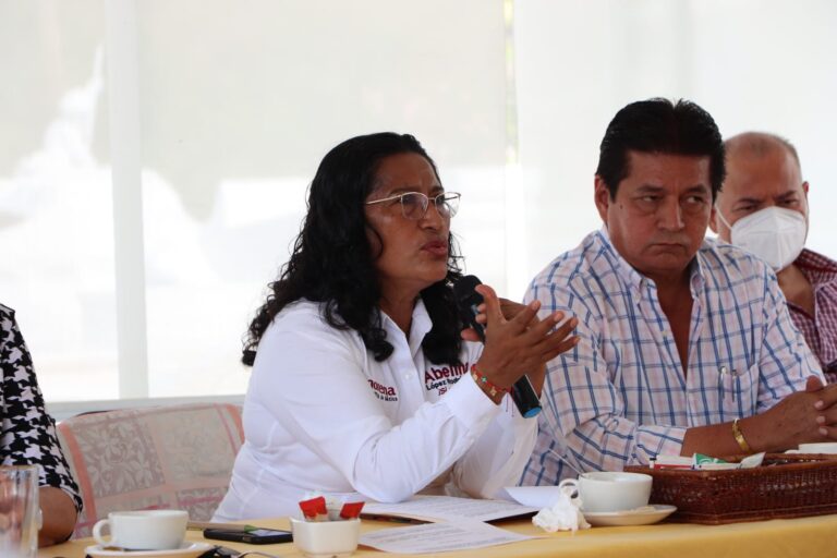 Coalición de Asociaciones Turísticas respaldan proyecto de Abelina López Rodríguez