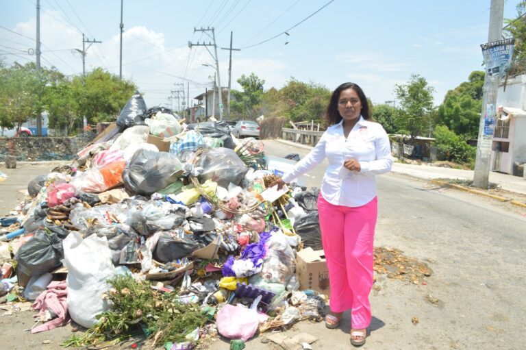 Para consolidar la cuarta transformación a México Le urge una nueva clase política: Ana Lilia Pinacho
