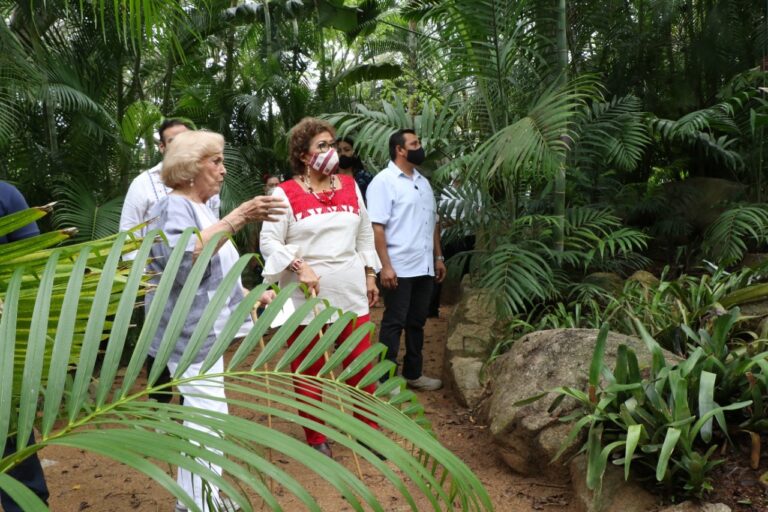 Jóvenes deben involucrarse con la naturaleza para transformar su entorno urbano: Adela Román