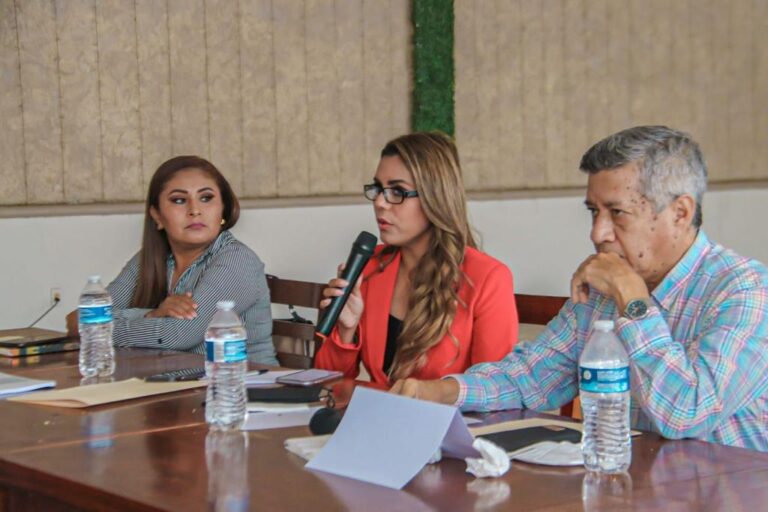 Se reúne Evelyn Salgado Pineda con diputadas y diputados locales electos de Morena