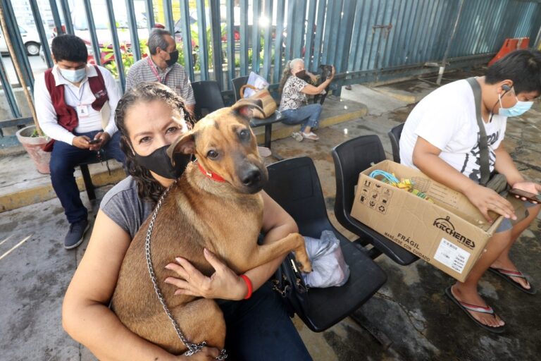 Reactiva Gobierno Municipal campaña de esterilización y desparasitación de mascotas