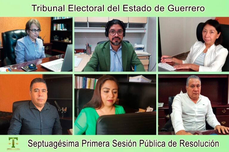 Desecha el TEEGRO impugnación , contra la diputación plurinominal de Alfredo Sánchez Esquivel