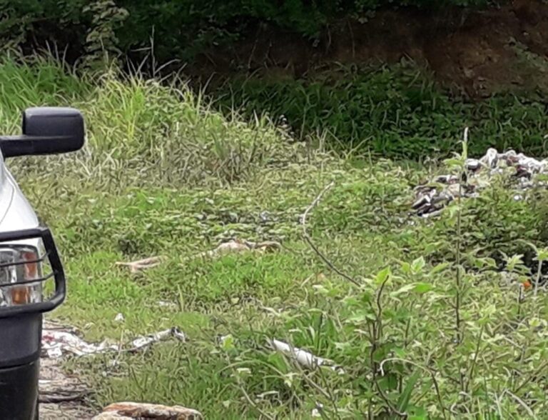 Un masculino desnudo fue localizado acribillado a balazos y con huellas de tortura, en el poblado de El Salto