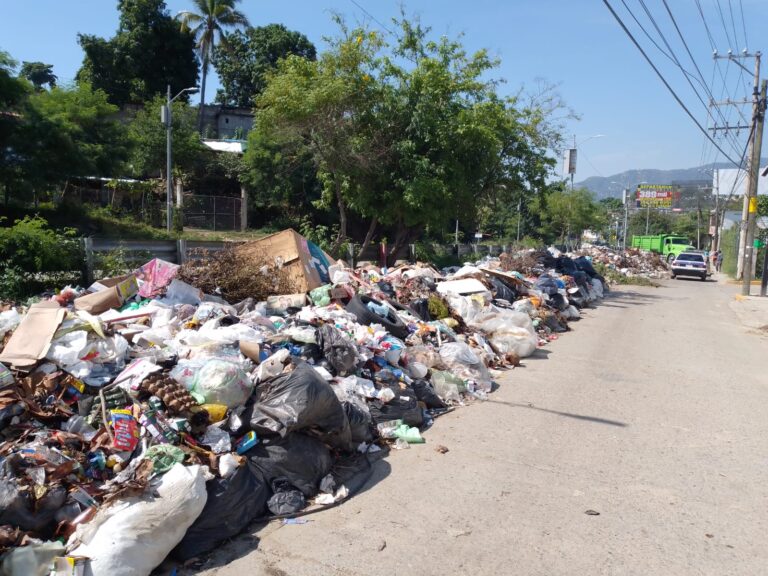 Con faenas extraordinarias, combate Acapulco tiraderos de basura
