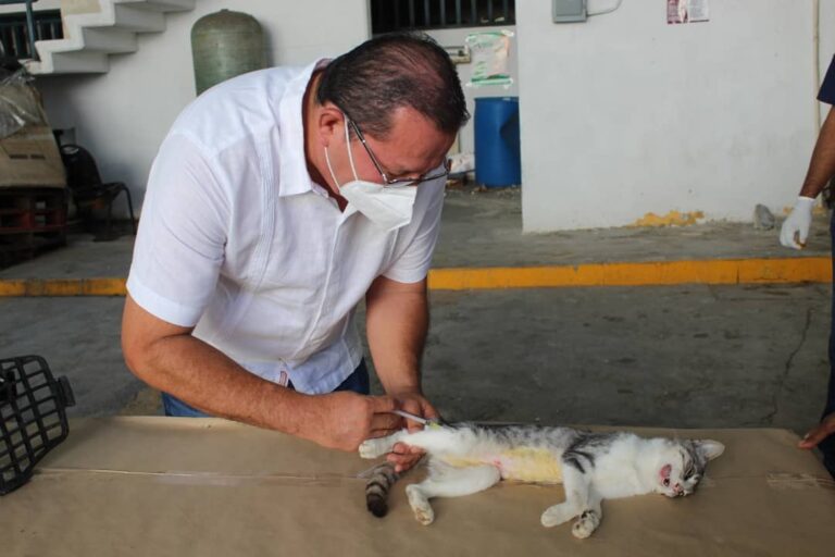 Prioriza Gobierno de Abelina López el bienestar animal