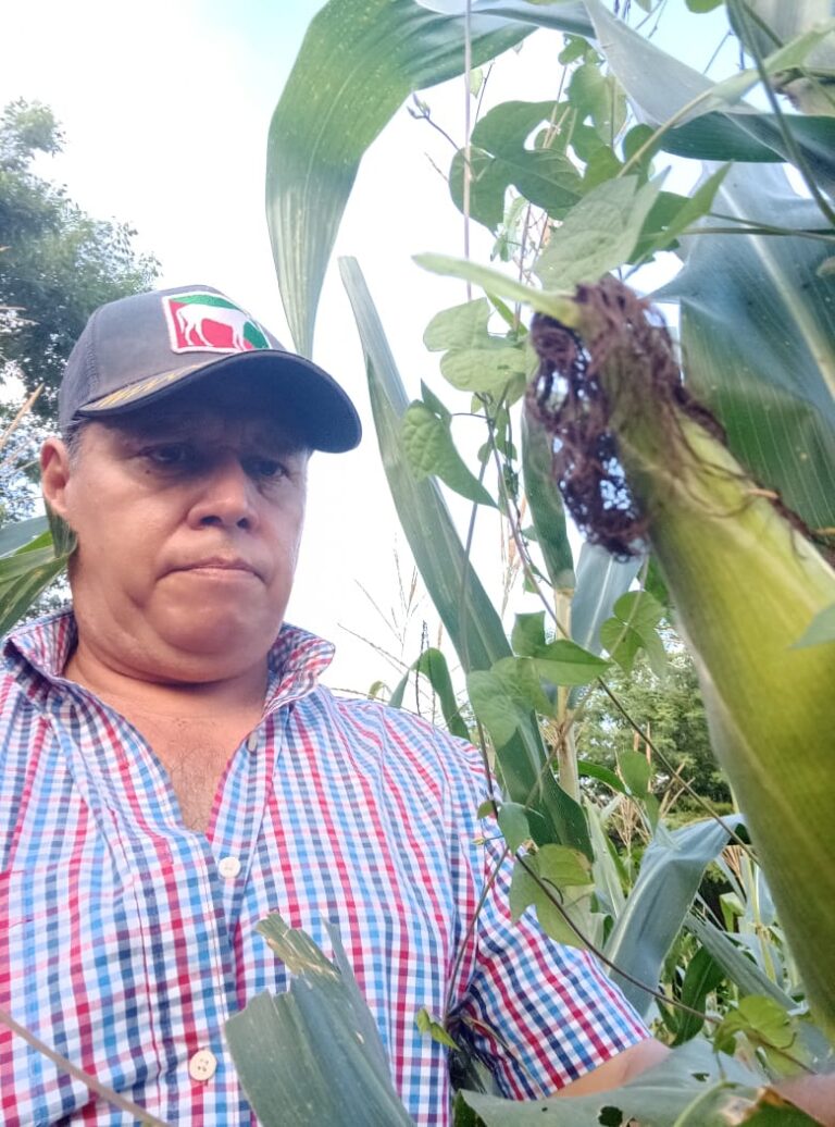 Gobierno Municipal de San Marcos, llama a productores del campo a utilizar bio-fertilizantes y agroquímicos que no dañen sus tierras.  A través del programa subsidiado de apoyo al campo se han beneficiado a mas de 100 productores de maíz, en esta temporada de siembra.