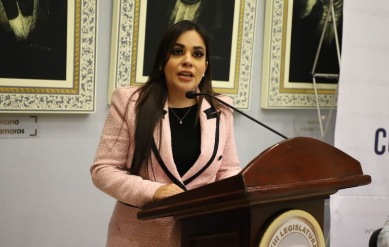 PROPONEN INCORPORAR LA PERSPECTIVA DE GÉNERO EN EL ARTICULADO SOBRE ELECCIÓN DE COMISARÍAS, PARA GARANTIZAR LA PARTICIPACIÓN DE LAS MUJERES