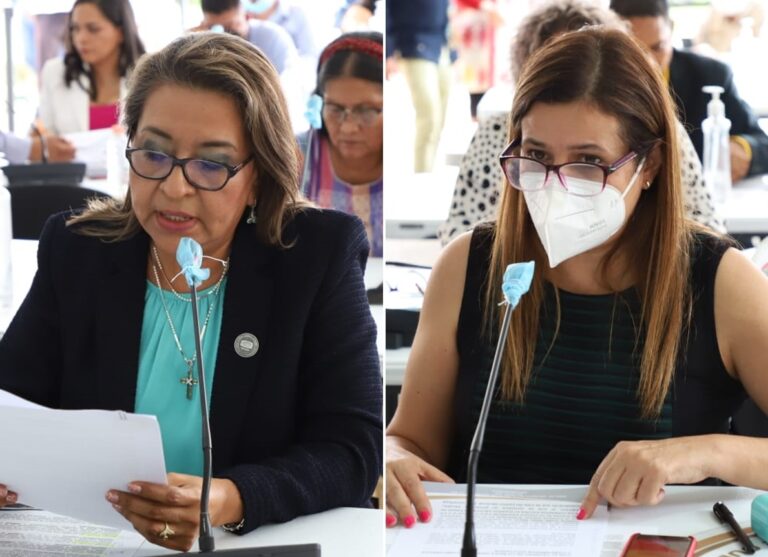 APRUEBAN FIJACIÓN DE POSTURAS  PARLAMENTARIAS EN EL INICIO DE GOBIERNOS