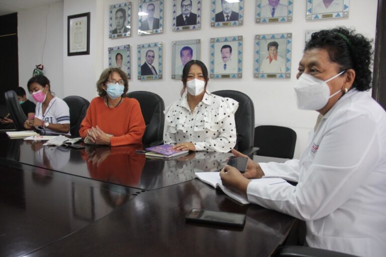 Se reúne la secretaria de Salud con integrantes de la Red Guerrerense por los Derechos de las Mujeres