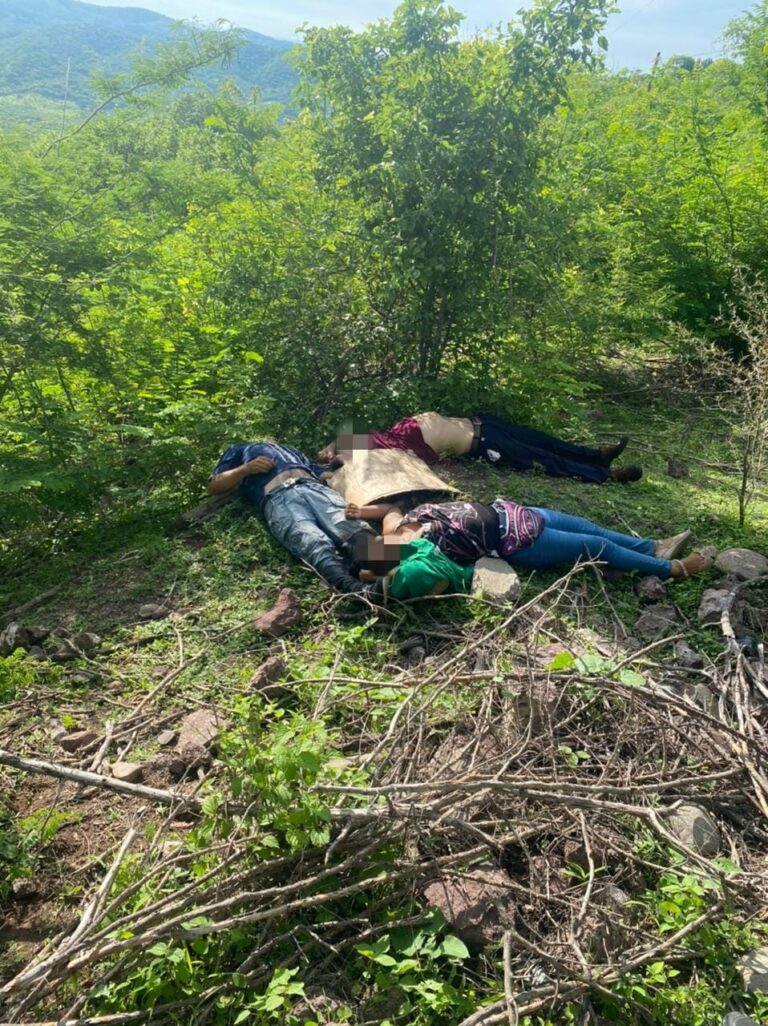 Hallan tres muertos en la carretera Xalitla-San Juan Tetelcingo