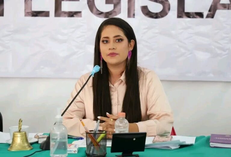 SON CONSIDERABLES LOS AVANCES DE LA LXIII LEGISLATURA  EN SU PRIMER AÑO DE EJERCICIO: GLORIA CITLALI CALIXTO