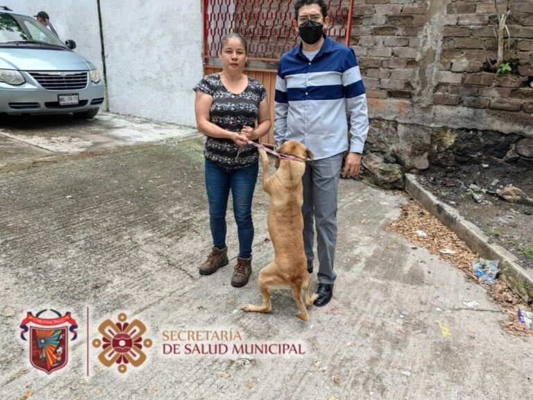 Ayuntamiento capitalino trabaja a favor del cuidado y protección de los animales