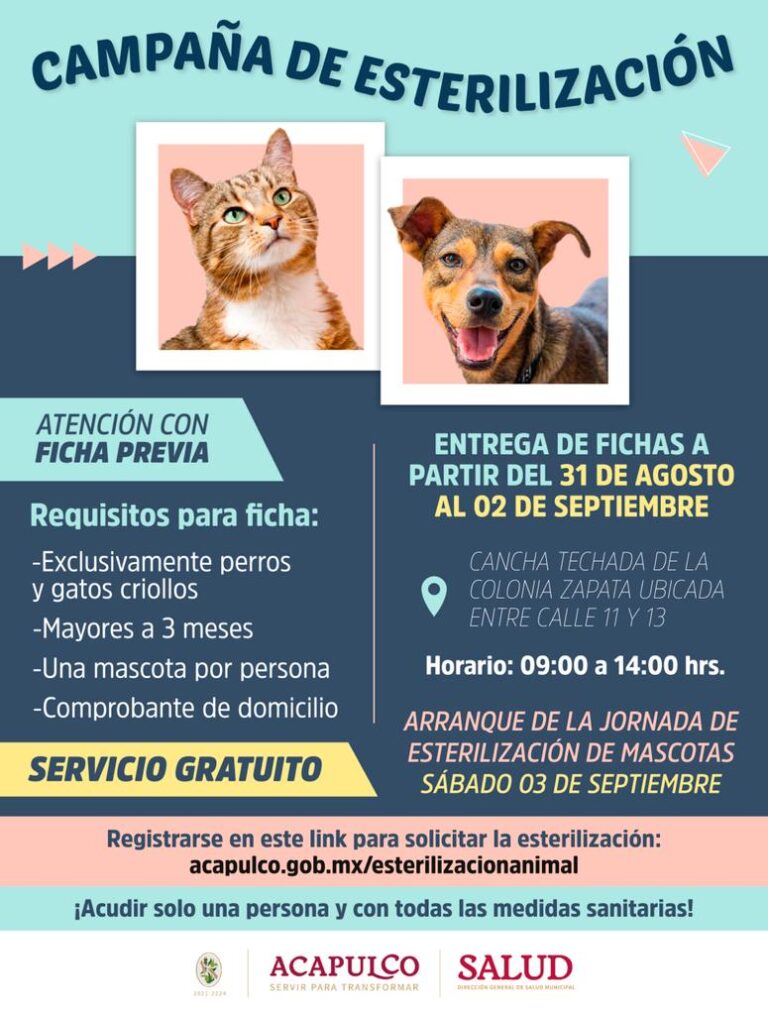 Pondrá en marcha Abelina López, campaña de esterilización para perros y gatos