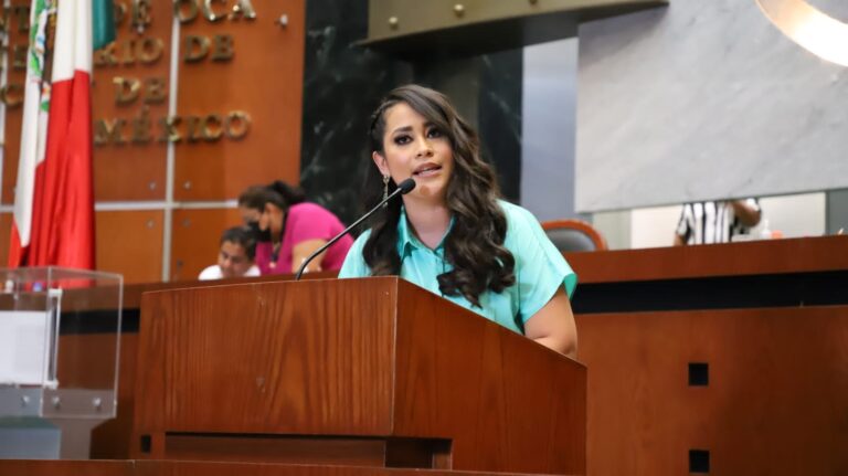 EL PROCESO DE CONSULTA A PERSONAS CON DISCAPACIDAD ESTÁ YA EN LA FASE INFORMATIVA, INFORMÓ LA DIPUTADA CITLALI CALIXTO