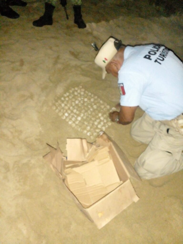 Recolecta Policía Turística 450 huevos y 686 crías de tortuga durante la última semana