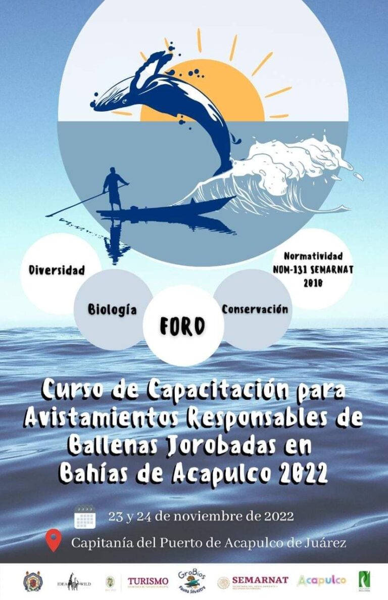 Capacitará Gobierno Municipal a turisteros para avistamiento responsable de ballenas