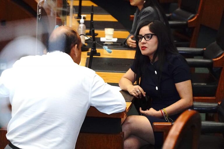 Seguimos trabajando en pro de todas las familias guerrerenses: Dip. Yoloczin Domínguez Serna