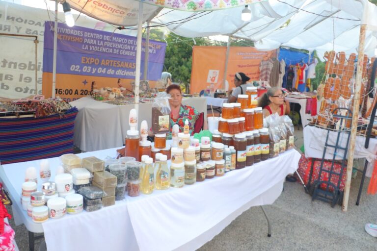 Invita Gobierno de Abelina López, a la “Expo Artesanas”