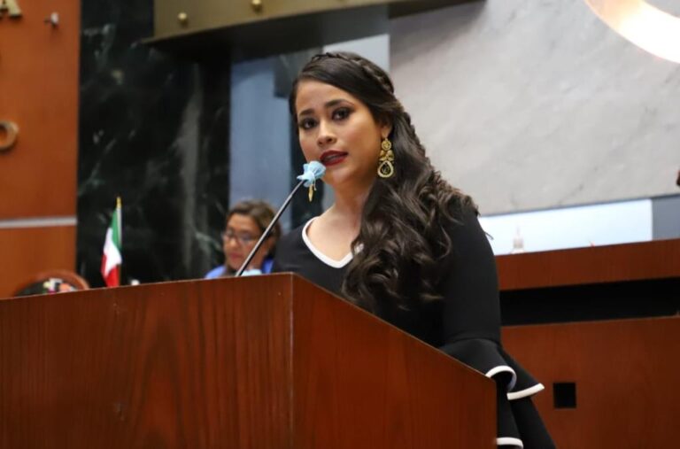 PROCESO DE CONSULTA A LAS PERSONAS CON DISCAPACIDAD ES UN HECHO HISTÓRICO Y SIN SIMULACIONES: CITLALI CALIXTO