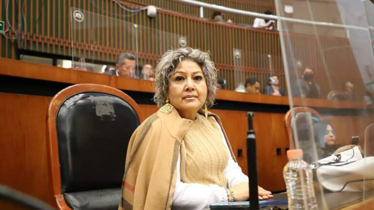 Hagamos causa común por Guerrero: Diputada Alicia Zamora Villalba