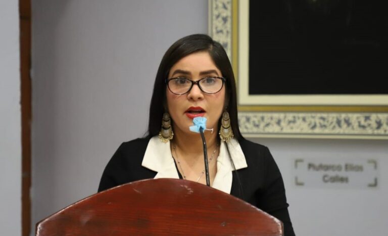 EXPRESAN DESDE EL CONGRESO UNA ENÉRGICA CONDENA POR EL ASESINATO DEL NIÑO BAYRON