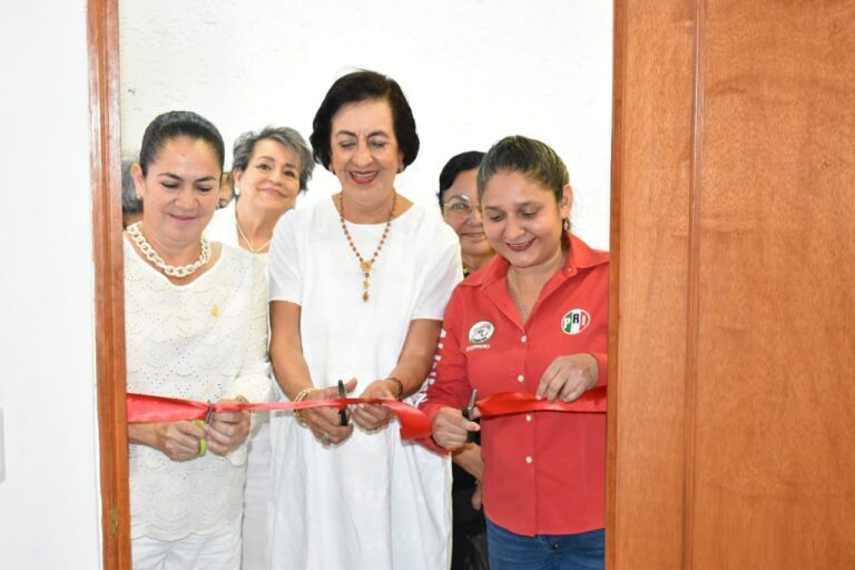 El PRI fue el primer partido que incluyó en sus estatutos la paridad de género: Bravo Abarca