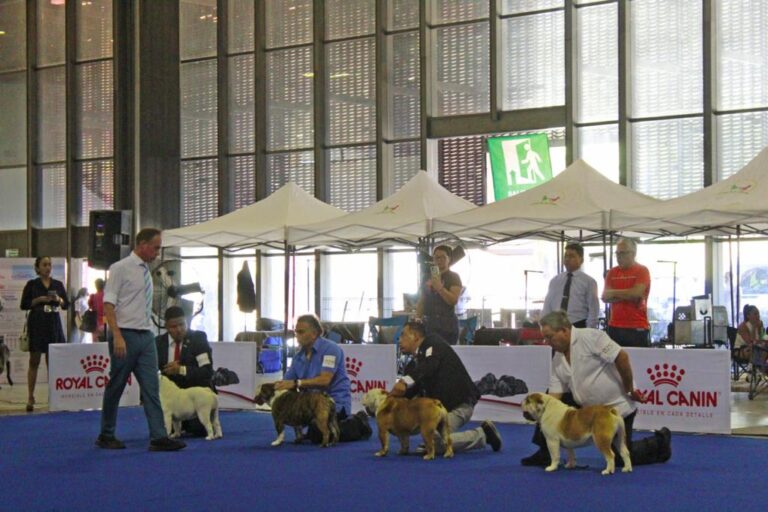 Acapulco, sede de la quinta Exposición Nacional Canina