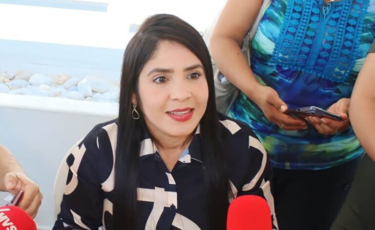 EN MES Y MEDIO EL CONGRESO ESTARÁ DESIGNANDO A TITULARES DE LOS ÓRGANOS DE CONTROL Y COMISIONADOS DEL ITAIGRO, ADELANTA LA DIPUTADA YOLOCZIN DOMÍNGUEZ