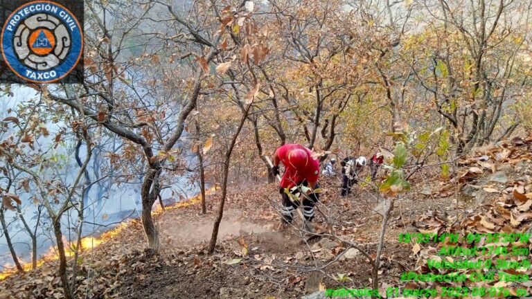 ACTUALIZACIÓN DE DATOS, Taxco