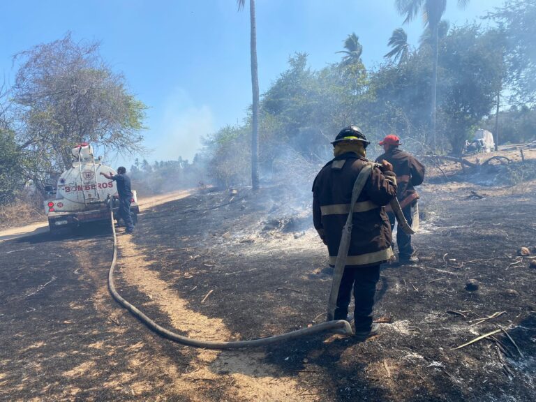 Brindan Bomberos de Acapulco casi 30 servicios este fin de semana largo