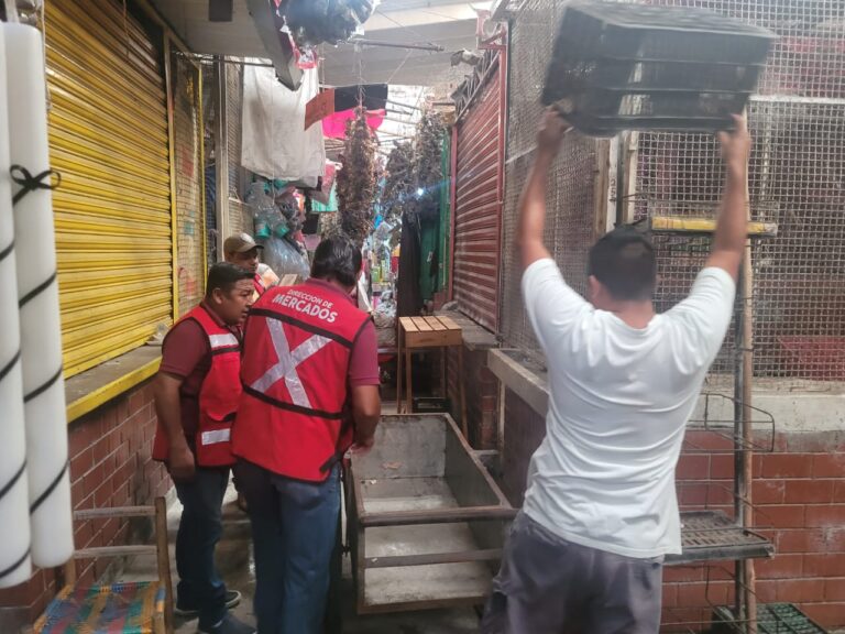 Implementa gobierno de Abelina López, programa de Alineación en mercados