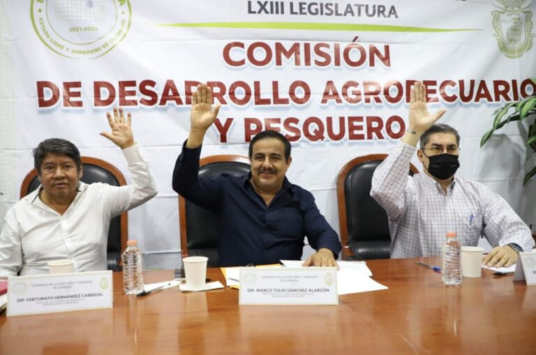 APRUEBAN EN COMISIÓN INICIATIVA PARA EL IMPULSO DE LA PESCA EN GUERRERO