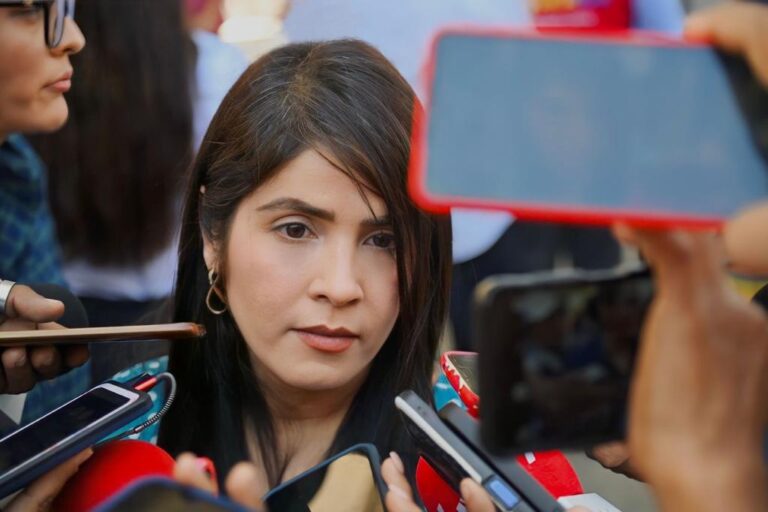 Analizaran Ley de Austeridad, la discutirán la próxima semana, prevé Yoloczin Domínguez