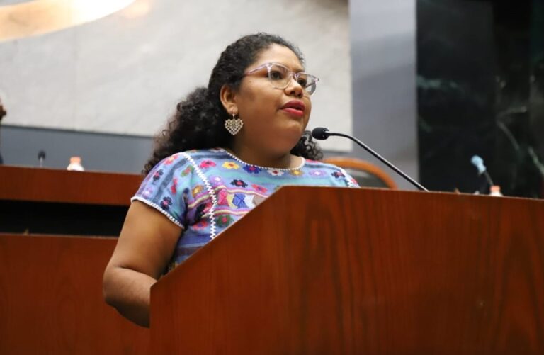 PLANTEAN EXHORTO PARA REALIZAR CAMPAÑAS DE ESTERILIZACIÓN DE MASCOTAS Y LA CREACIÓN DE REFUGIOS