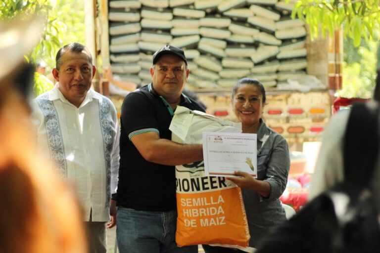 Entrega Abelina López semilla mejorada a campesinos