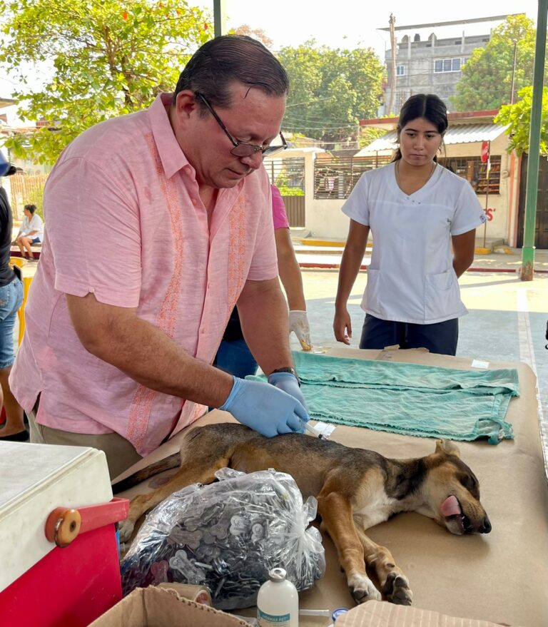 Realiza Gobierno de Abelina López, campaña de esterilización en Pie de la Cuesta