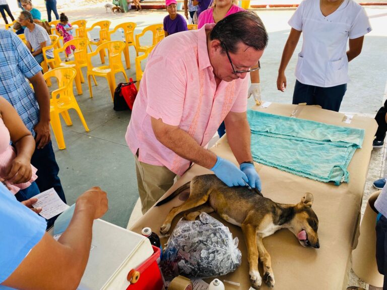 Brindó Gobierno de Abelina López más de 300 servicios en Jornada de Esterilización de Mascotas
