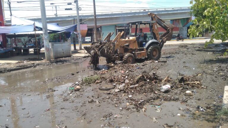 Recolecta gobierno de Abelina López 30 toneladas de desechos por lluvias