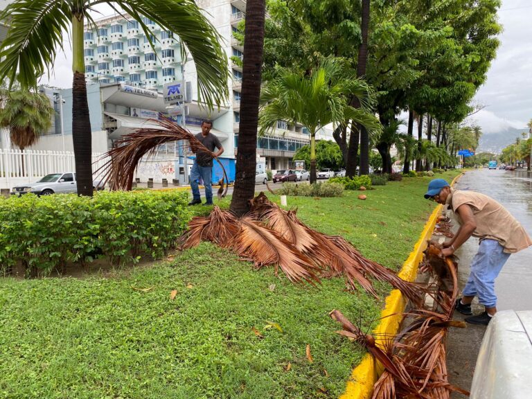 Instruye Abelina López Rodríguez a dependencias operativas atender afectaciones por lluvia