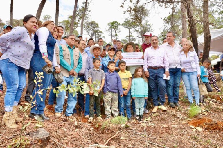 Encabeza Evelyn Salgado actividad de reforestación en Llanos de Tepoxtepec
