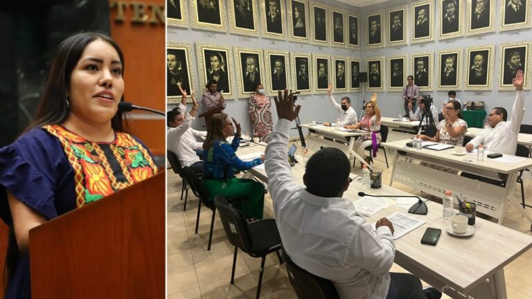 EXHORTA CONGRESO A SECRETARÍA DE SALUD A REALIZAR DIAGNÓSTICO SOBRE LA ATENCIÓN DEL EMBARAZO