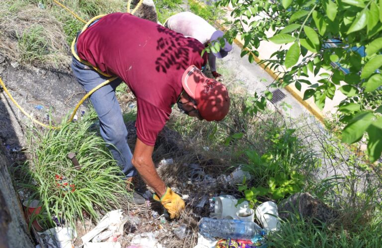 Realiza gobierno de Abelina López Rodríguez limpieza en acantilados de Sinfonía del Mar